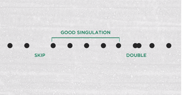 Episode 11: Corn Singulation Study
