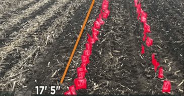 Episode 17: Perfect Corn Stand