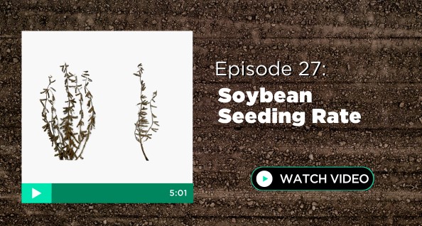 Episode 27: Soybean Seeding Rate