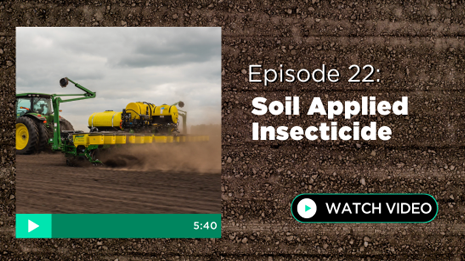 Episode 22: Soil Applied Insecticide