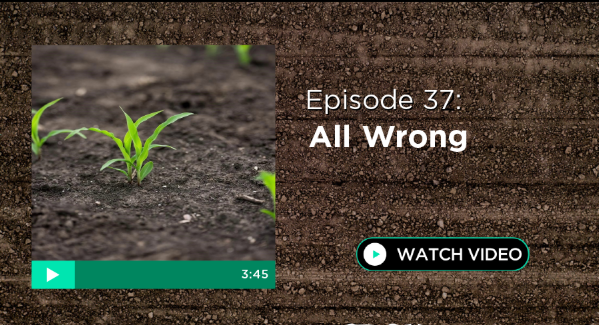 Episode 37: All Wrong