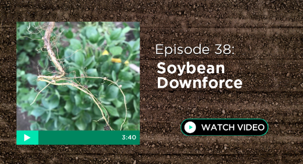 Episode 38: Soybean Downforce