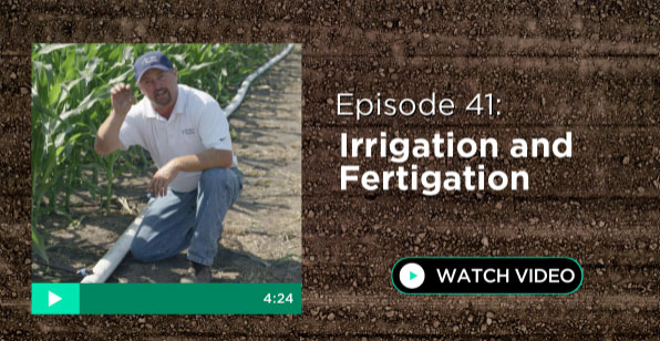 Episode 41: Irrigation and Fertigation
