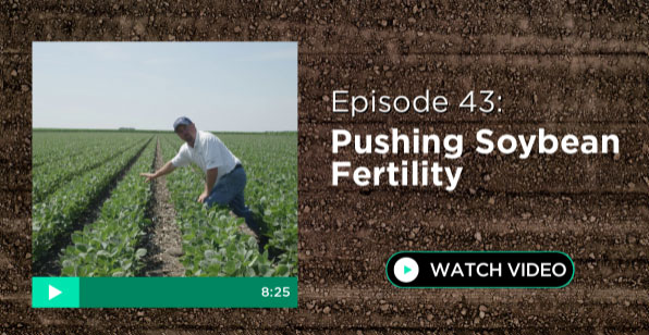 Episode 43: Pushing Soybean Fertility
