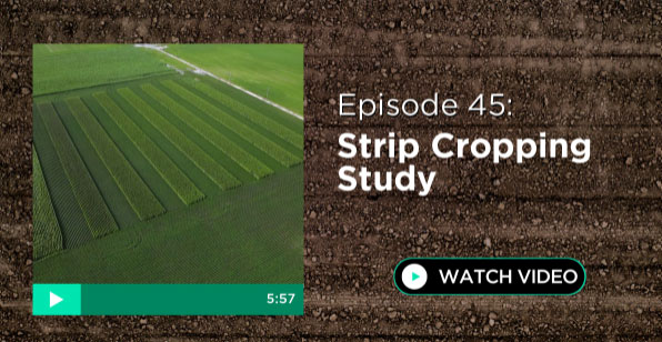 Episode 45: Strip Cropping Study