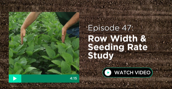 Episode 47: Row Width & Seeding Rate