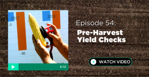 Episode 54: Pre-Harvest Yield Checks