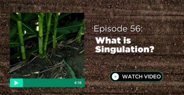 Episode 56: What is Singulation