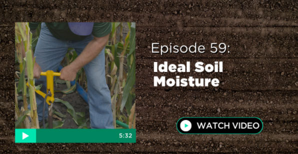 Episode 59: Ideal Soil Moisture