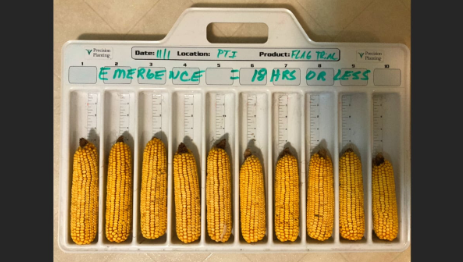 Episode 6: Closing the Furrow Part 2