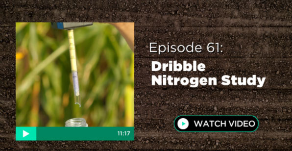 Episode 61: Dribble Nitrogen Study