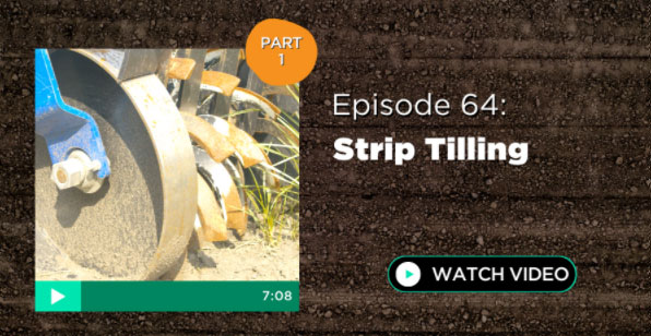 Episode 64: Strip Tilling Part 1