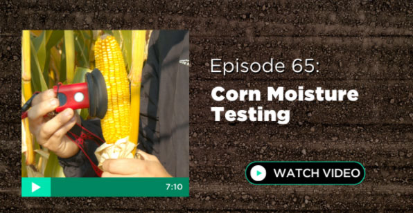 Episode 65: Corn Moisture Testing