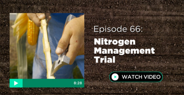 Episode 66: Nitrogen Management Trial