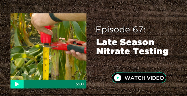 Episode 67: Late Season Nitrate Testing