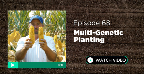 Episode 68: Multi-Genetic Planting
