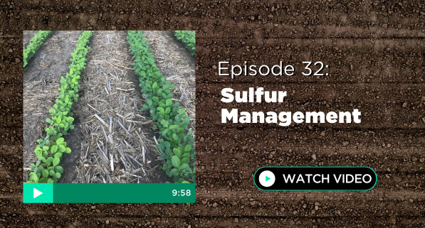 Episode 32: Sulfur Management